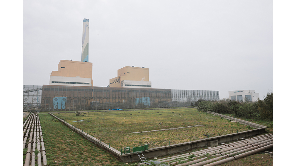 台中電廠裡的小燕鷗人工繁殖棲地。